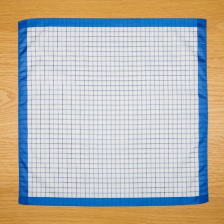 Blue and White Check Handkerchiefs