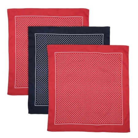 Red and Navy Blue Spotted Handkerchiefs