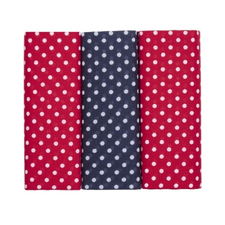 Red and Navy Blue Spotted Handkerchiefs